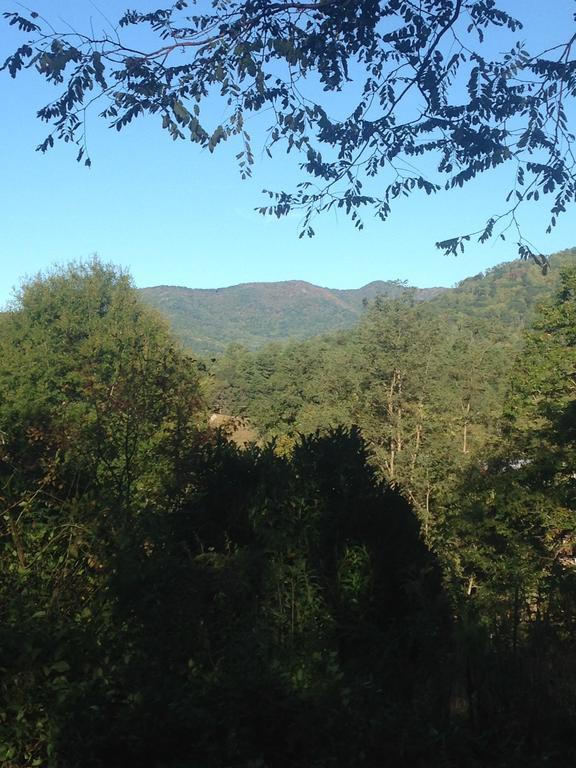 Serenity Views Bungalow - Close To City And Parkway! Weaverville Exterior foto